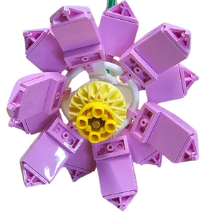 Pink Lotus Open