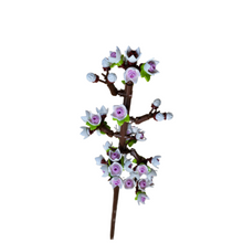 Cherry Blossom - White