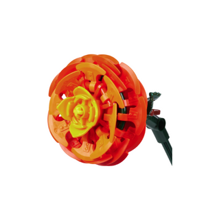 Persian Buttercup - Curved