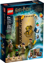 LEGO® Harry Potter: Hogwarts Moment Herbology Class (76384)