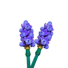 Wild Purple Lavender 2pk