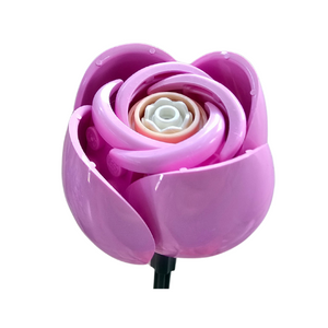 Pink Bouquet Rose - Blooming