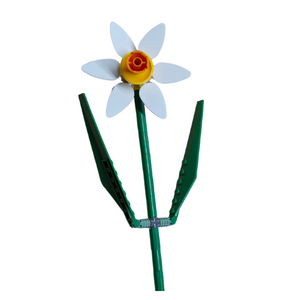 White Daffodil