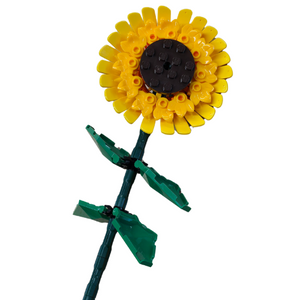 Sunflower - Straight
