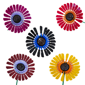Gerbera Daisy
