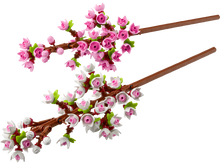 LEGO Botanicals: Cherry Blossoms (40725)