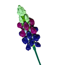 Lupin