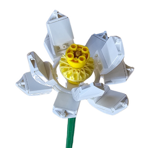 White Lotus Open